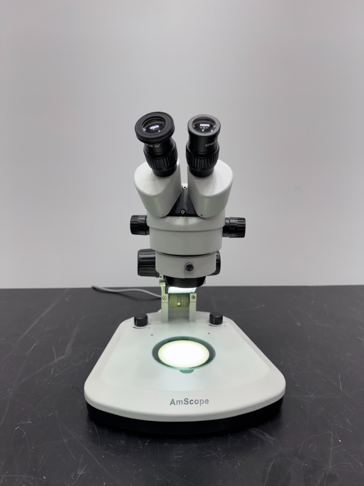 Image of AmScope stereo zoom microscop